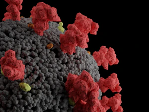 covid-2019 corona virus 3D Model