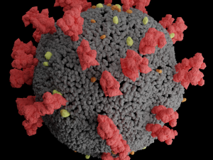 covid-2019 corona virus 3D Модель