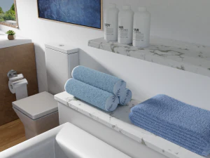 bathroom scene 3D Model