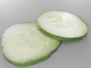 2 variation of a cucumber slice pbr photorealistic 3D Model