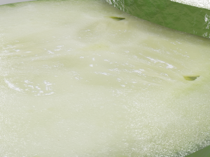 2 variation of a cucumber slice pbr photorealistic Modèle 3D