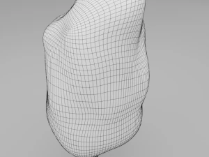 cotton candy 3D Model