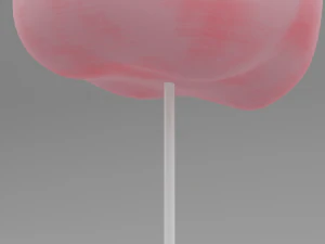 cotton candy 3D Model