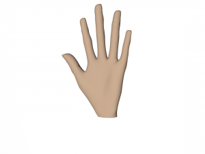 brush 3D Model