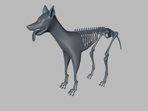 демон-собака 3D Модель