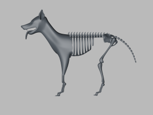 demon-dog Model 3D