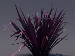 phormium Model 3D