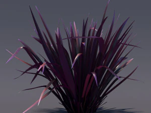 phormium 3D Model