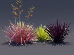 phormium Model 3D