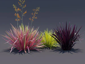 phormium 3D Model