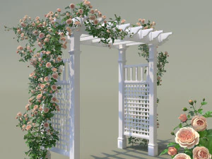 arche de jardin 02 rose pivoine grimpante Modèle 3D