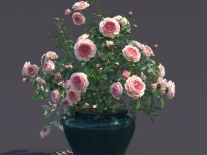 rose bush in the pot 1 3Dモデル