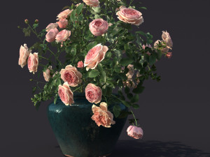 rose bush in the pot 1 3Dモデル