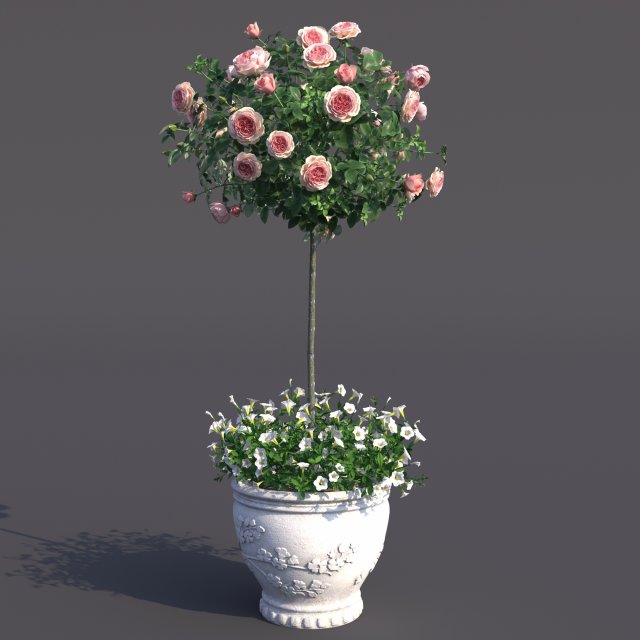 rose bush in the pot 2 3D मॉडल .c4d .max .obj .3ds .fbx .stl .blend