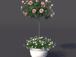 rose bush in the pot 2 Model 3D