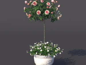 rose bush in the pot 2 3D Model