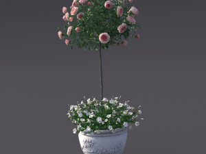 rose bush in the pot 2 Model 3D