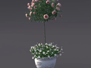 rose bush in the pot 2 3D Model