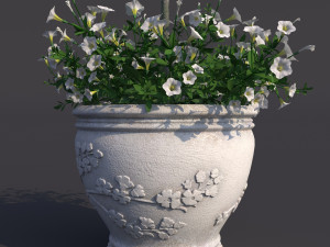 rose bush in the pot 2 Model 3D