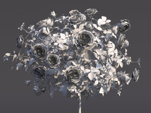 rose bush in the pot 2 Model 3D