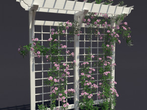 pergola 01 climbing rose 3D 모델