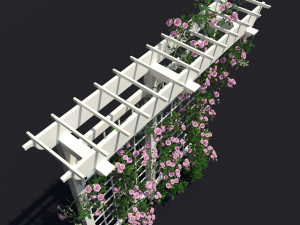 pergola 01 climbing rose 3D 모델