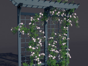 pergola 01 climbing rose 3D 모델