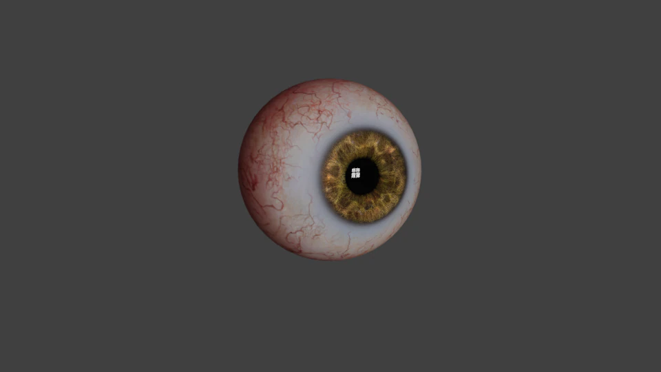 g&ouml;z k&uuml;resi ger&ccedil;ek&ccedil;i modeli 3D Model .c4d .max .obj .3ds .fbx .stl .blend 