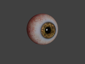 eyeball realistic model 3D 모델