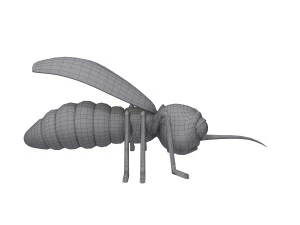 mosquito cartoon 3D Model
