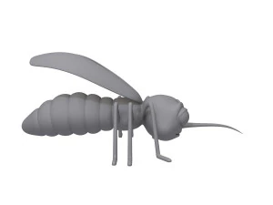 mosquito cartoon 3D Model