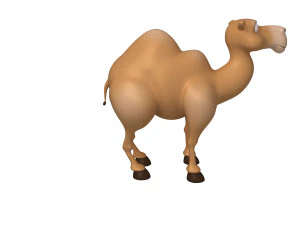 camel cartoon 3D Model