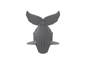 whale cartoon 3D Model