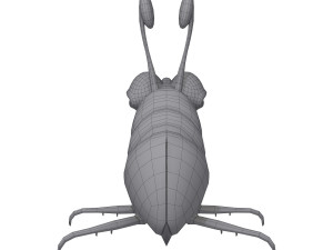 bug cartoon Modèle 3D