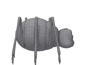 spider cartoon 3D Model