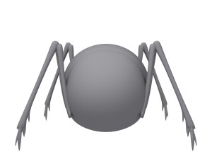 spider cartoon 3D Model