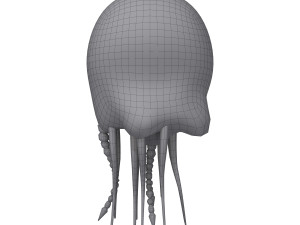 jellyfish cartoon 3D Model