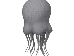 jellyfish cartoon 3D Model