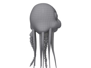 jellyfish cartoon 3D Model