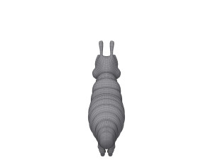 caterpillar cartoon 3D Model
