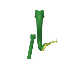 snake cartoon 3D Model