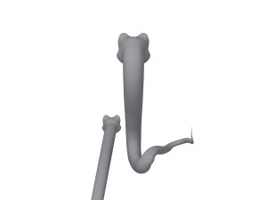 snake cartoon 3D 모델