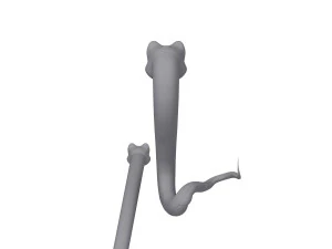 snake cartoon 3D Model