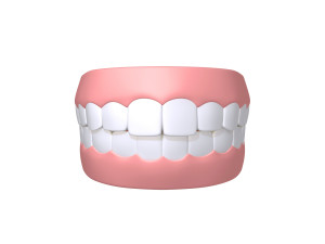 human mouth teeth cartoon 3D 모델