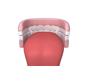 Human mouth teeth cartoon 3D Model
