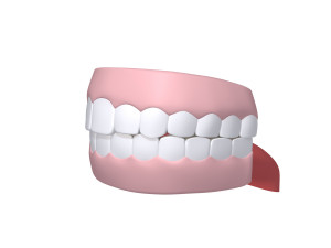 human mouth teeth cartoon 3D Model