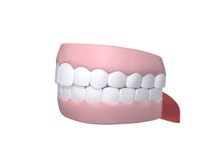 Human mouth teeth cartoon 3D Model