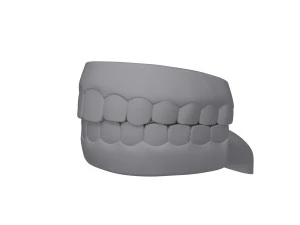 Human mouth teeth cartoon 3D Model