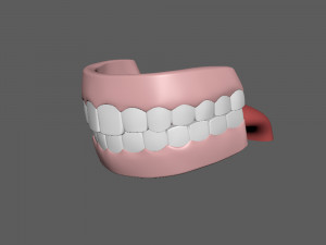 human mouth teeth cartoon 3D Model