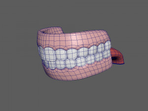 human mouth teeth cartoon 3D Model